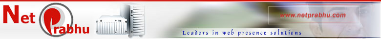 NetPrabhu Web Services - Leaders in Web Solutions